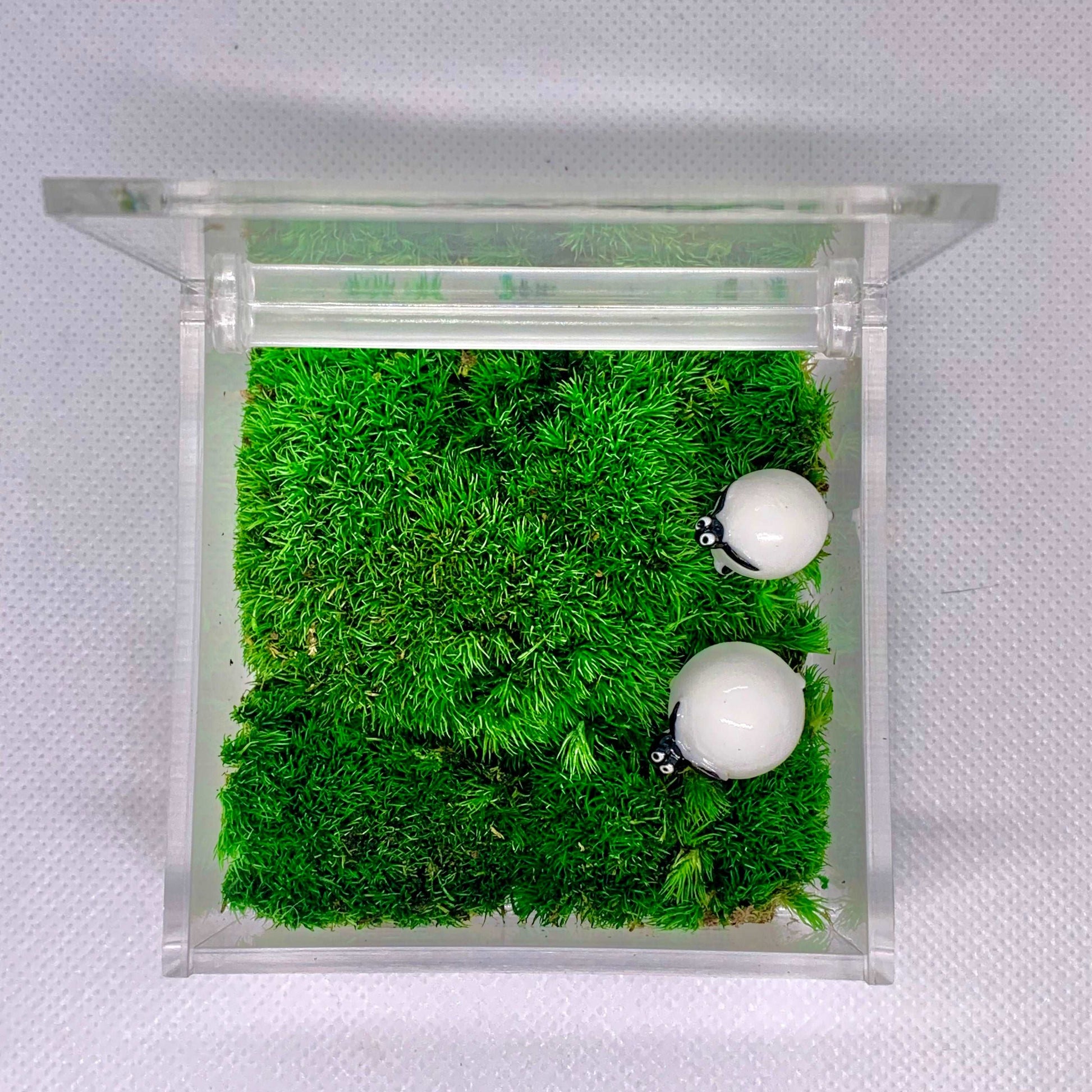 Table Decor Mini Sheep Decoration Micro Landscape Lawn Handmade