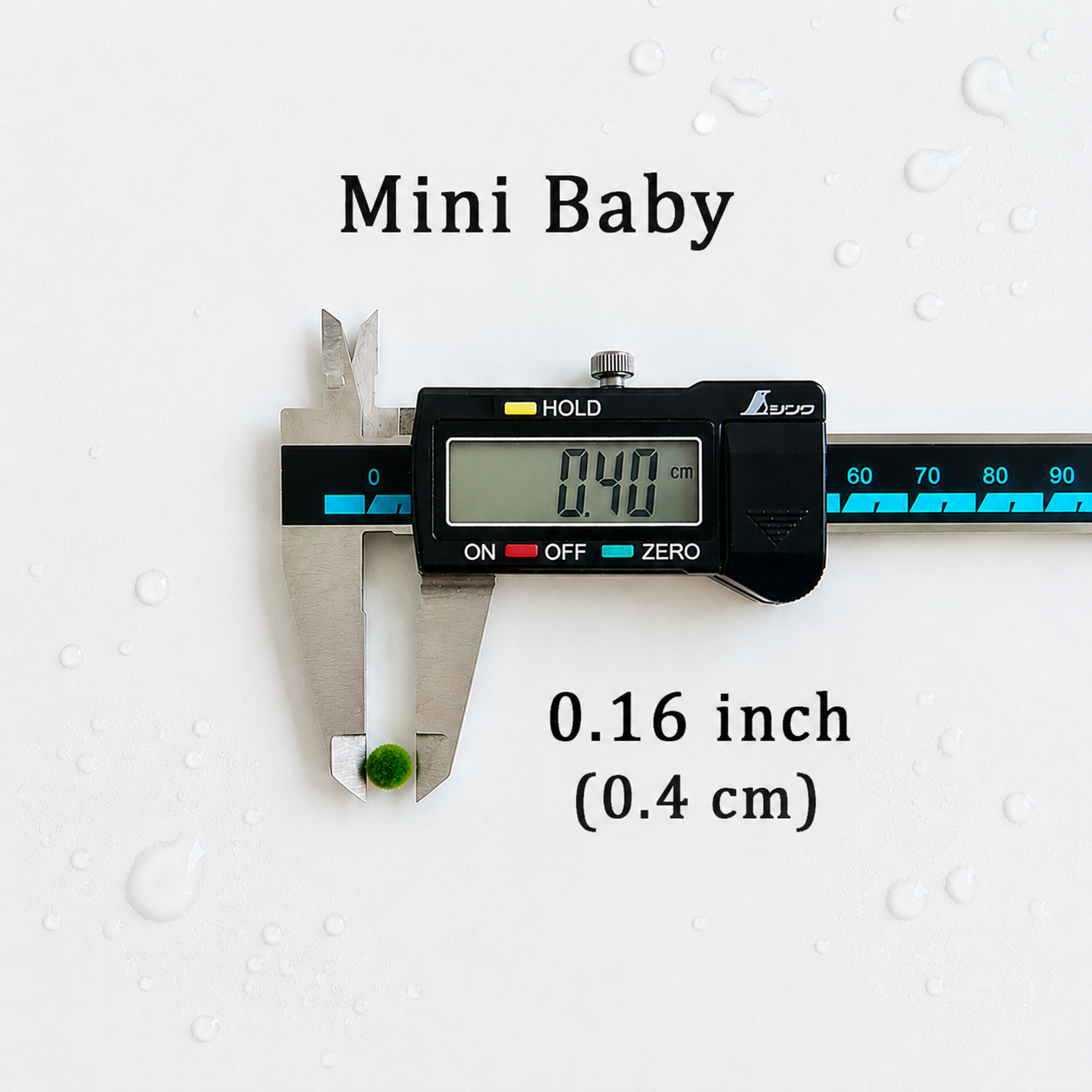 Live Moss Balls Mini Baby 0.3-0.5cm Wholesale Discounted Price Bulk Sell Marimo Moss Balls Aqua Plant Pet Petco