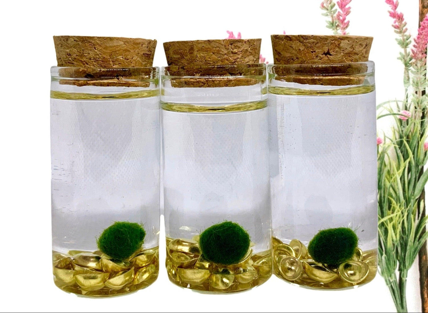 Fortune Moss Kit Office Desktop Decor