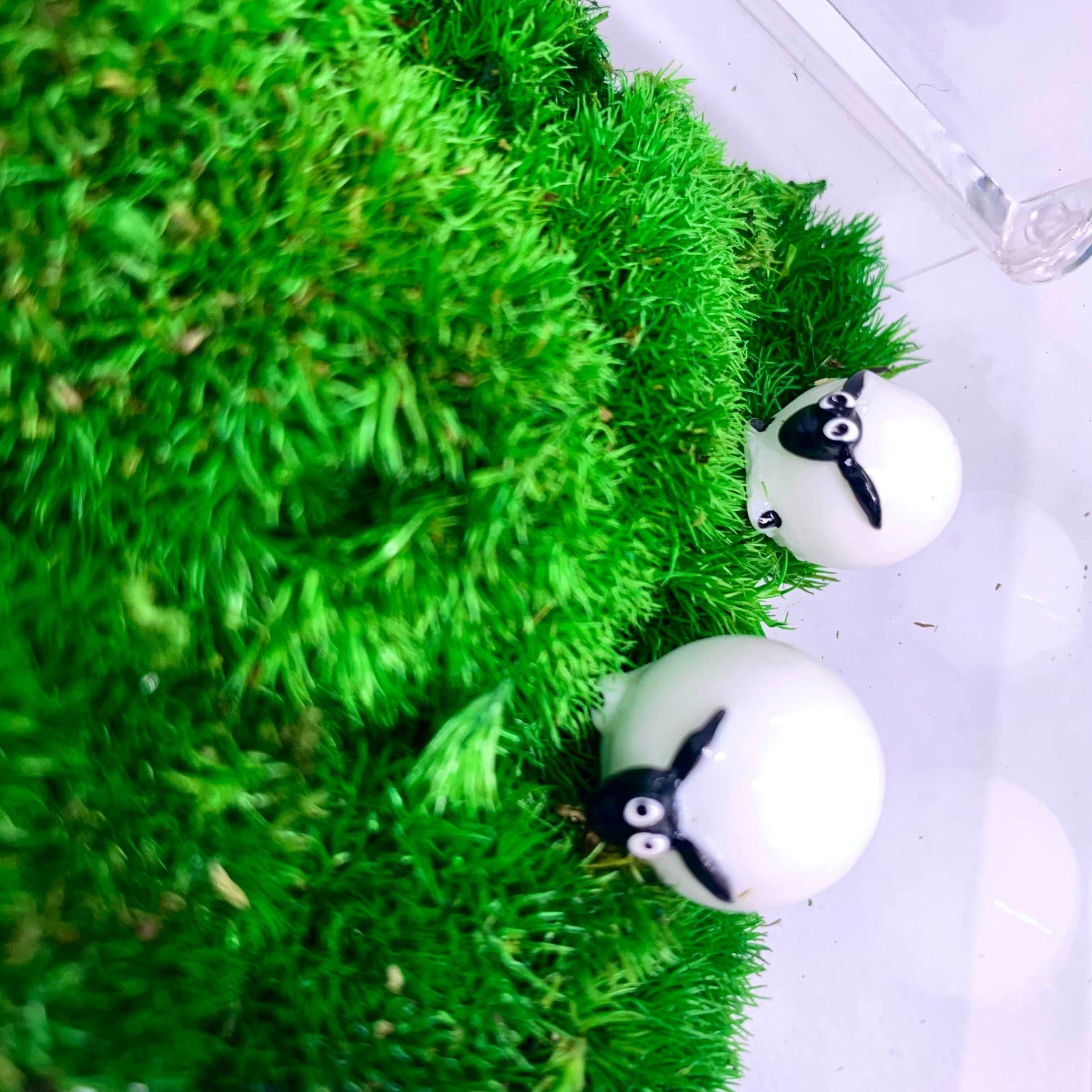Table Decor Mini Sheep Decoration Micro Landscape Lawn Handmade