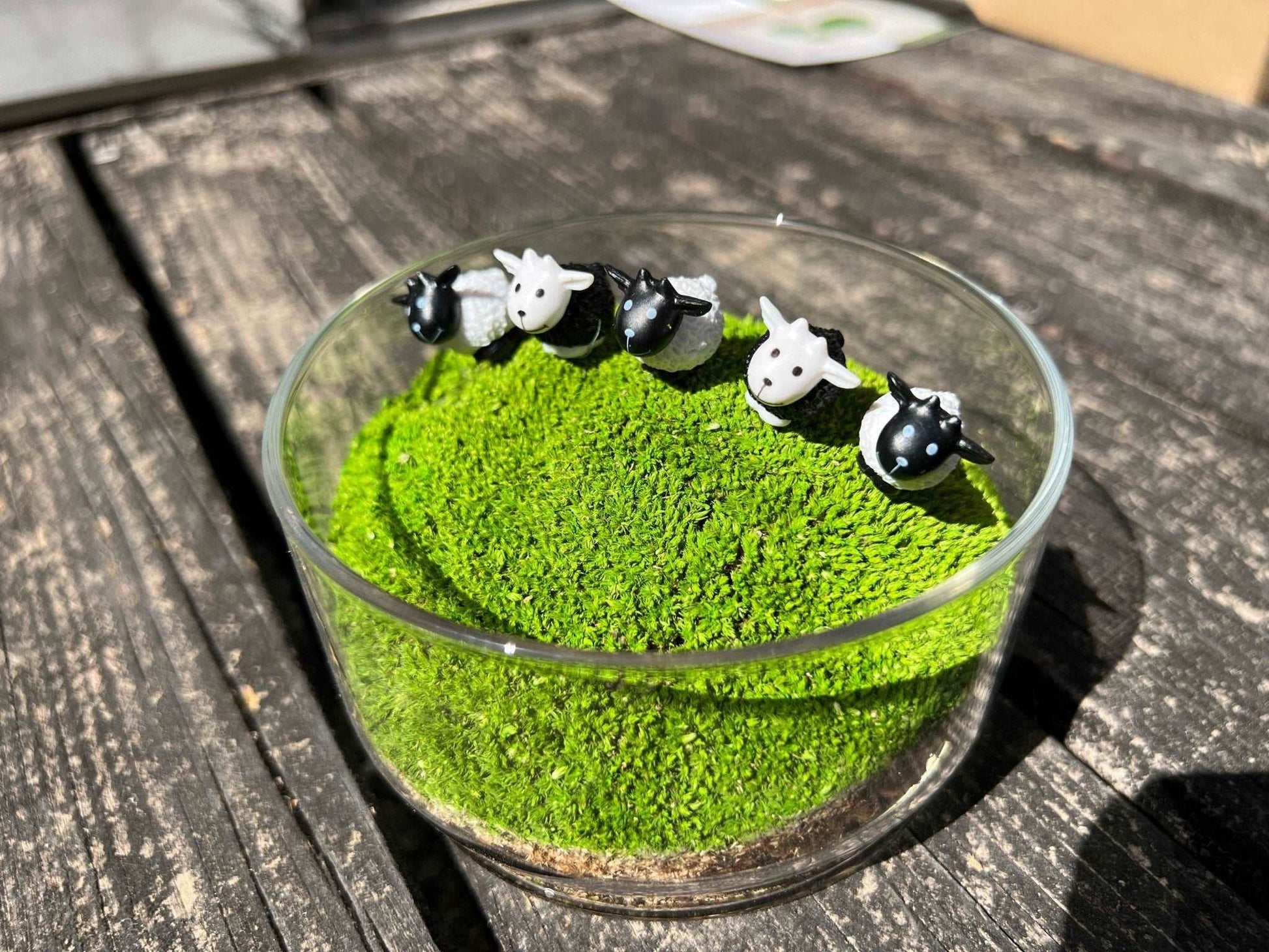 Mini Sheep Desktop Decoration Micro Landscape Lawn Handmade Preserved Moss Art
