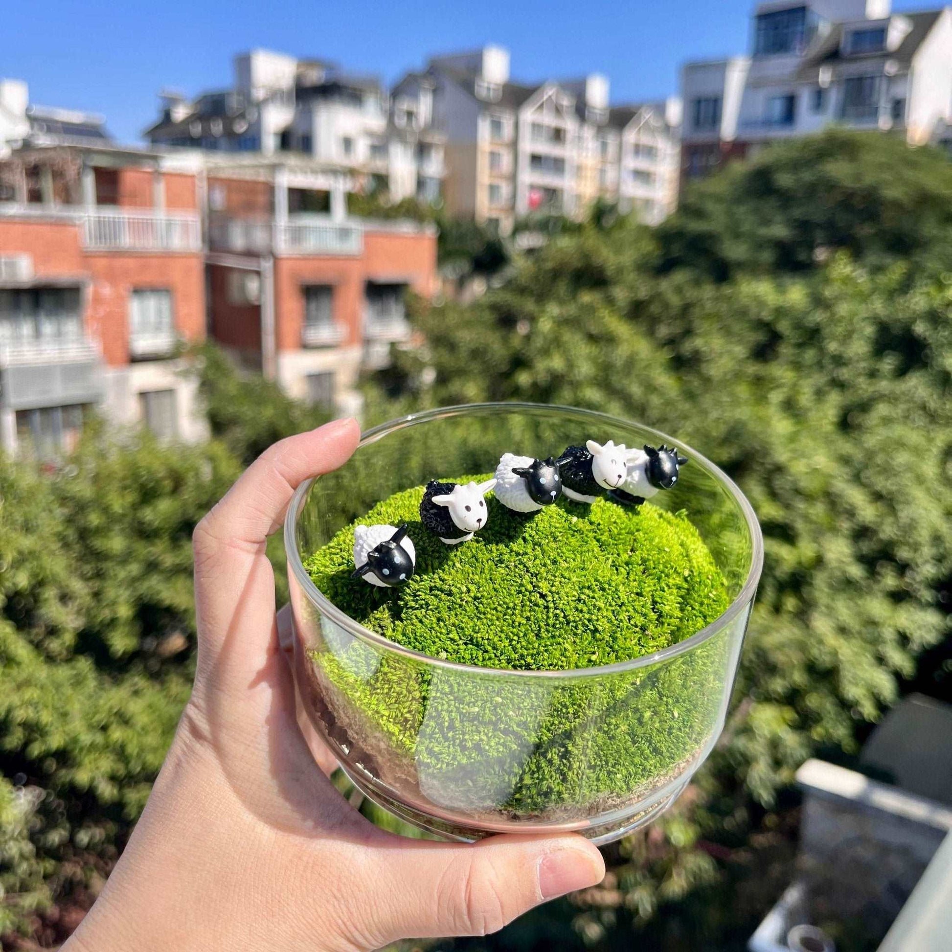 Mini Sheep Desktop Decoration Micro Landscape Lawn Handmade Preserved Moss Art