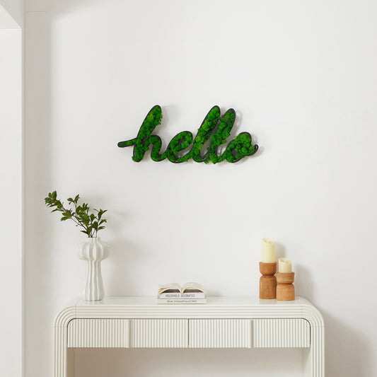 "HELLO" Letter Art Moss Wall Decor – A Natural Greeting - Moss Artistry