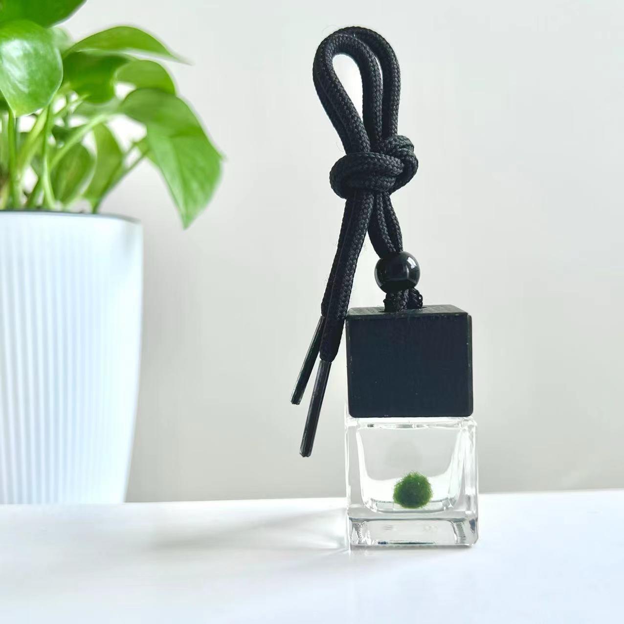 Mini Baby Marimo Moss BallSpecification:
Marimo Live Moss Ball * 1
Glass Bottle * 1
Name Card * 1
Simple Care Instruction * 1 - daily use
Fresh-arrival Care Instruction * 1 

Perfect gift for