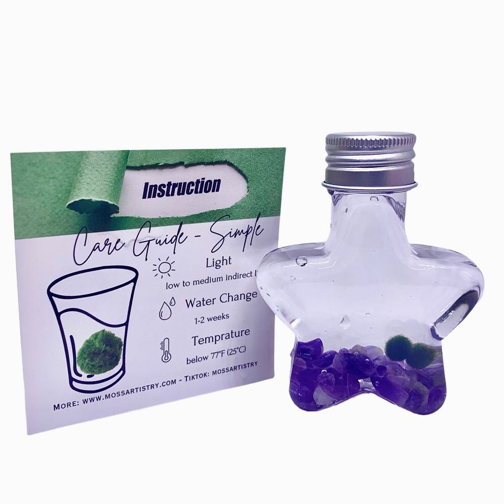 Marimo moss ball kit natural crystal 2PCS gift - Wish Star