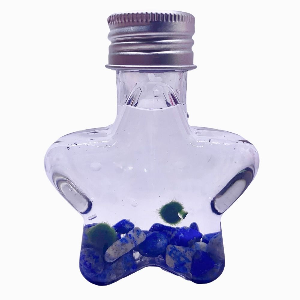 Marimo moss ball kit natural crystal 2PCS gift - Wish Star