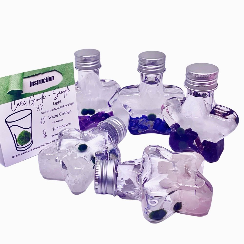 Marimo moss ball kit natural crystal 2PCS gift - Wish Star