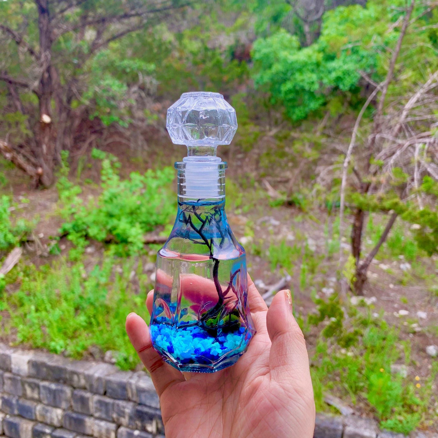Romantic Marimo Moss Balls Glass Bottle Aquarium With Lid Love Plants for Beginners for Couples Blue