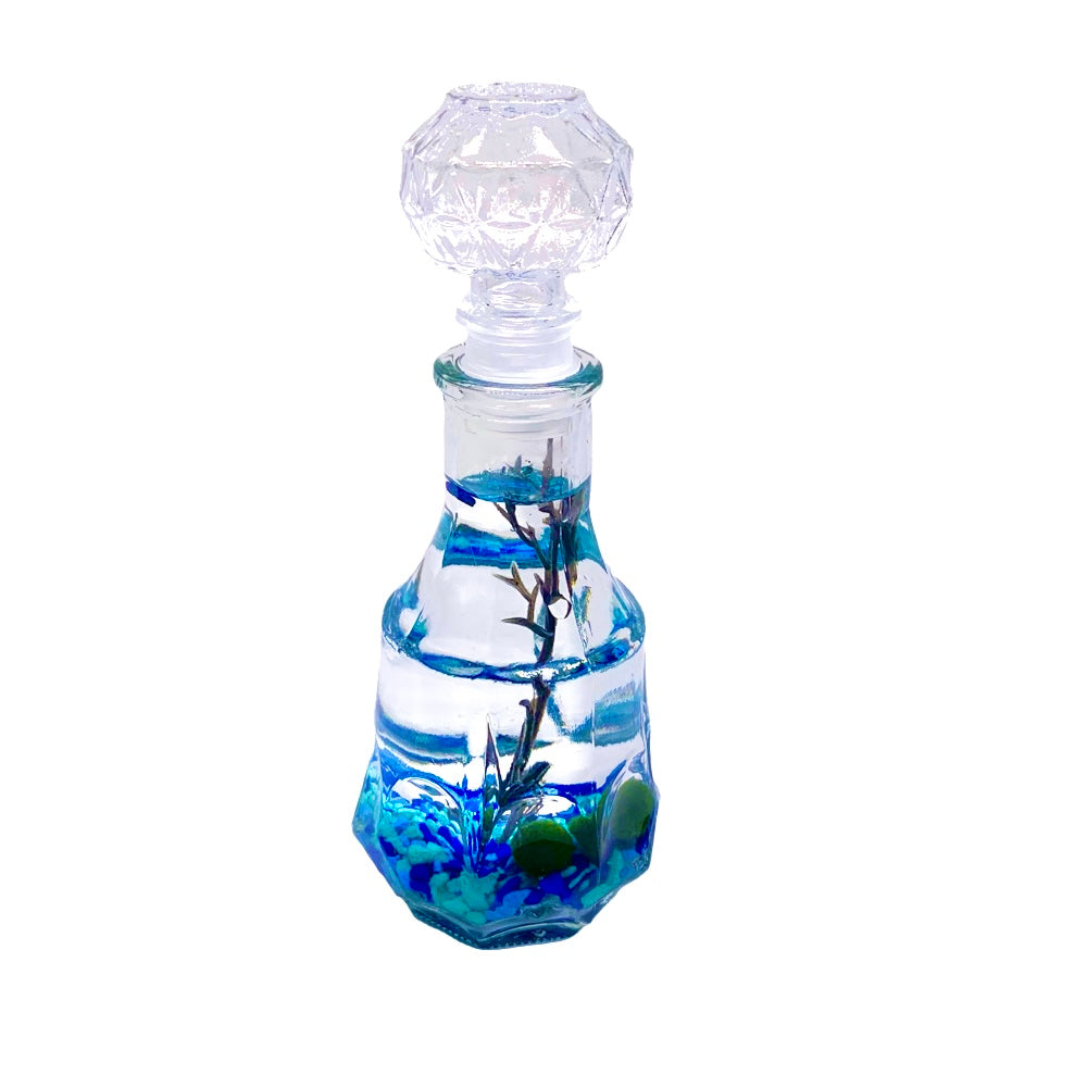 Moss Ball Aquarium Romantic Marimo Moss Balls Glass Bottle Aquarium With Lid Love Plants for Beginners for Couples Blue