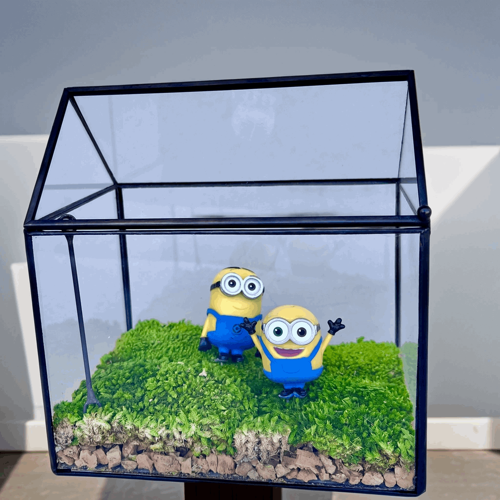 Micro Landscape Minion Pals Mossbox Handmade Glass Terrarium - PlayfulBring the fun and charm of the beloved Minions to your workspace with our "Minion Pals Mossbox," a unique handmade glass terrarium. This delightful desktop accessory