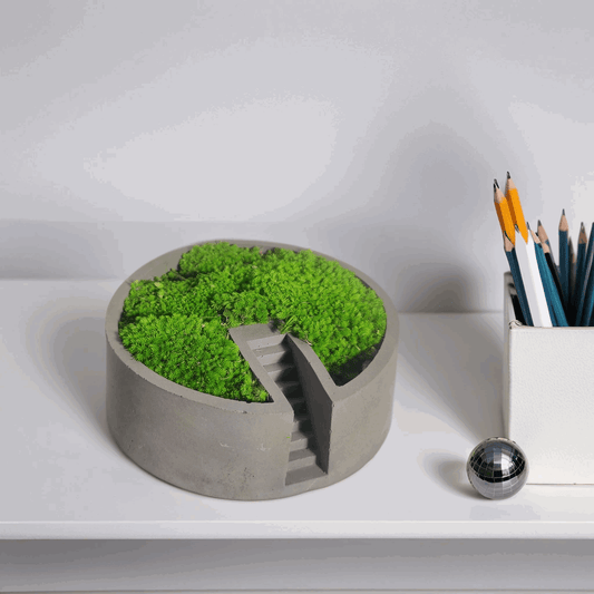 Circular Cement Moss Decor – Handcrafted Desktop Oasis