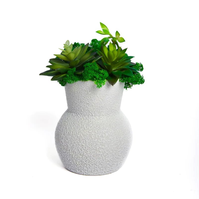 Whimsical Gourd-Shaped Planter with Preserved Moss and Faux SucculentsBring a slice of nature's tranquility into your environment with our Gourd-Shaped Planter. This charming piece, designed to resemble a gourd, offers an enchanting bl