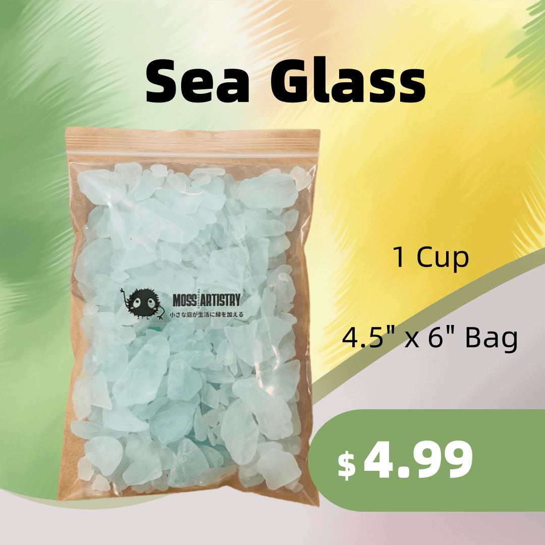 1 Cup Sea Glass for Aquarium and Glass Terrarium