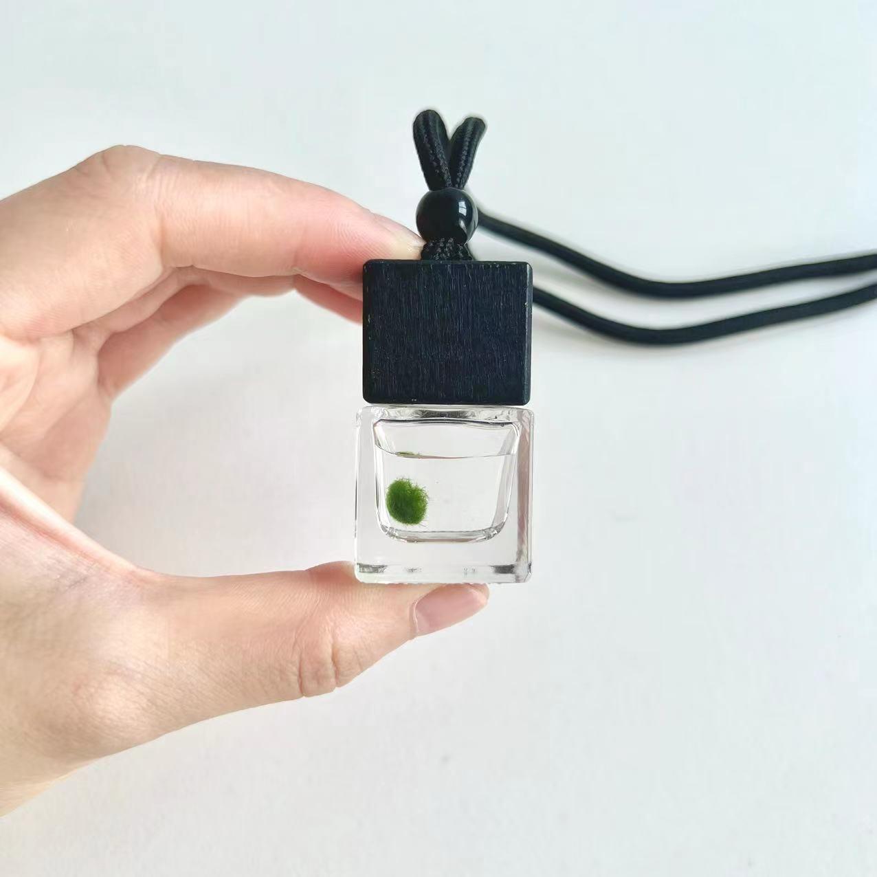 Mini Baby Marimo Moss BallSpecification:
Marimo Live Moss Ball * 1
Glass Bottle * 1
Name Card * 1
Simple Care Instruction * 1 - daily use
Fresh-arrival Care Instruction * 1 

Perfect gift for