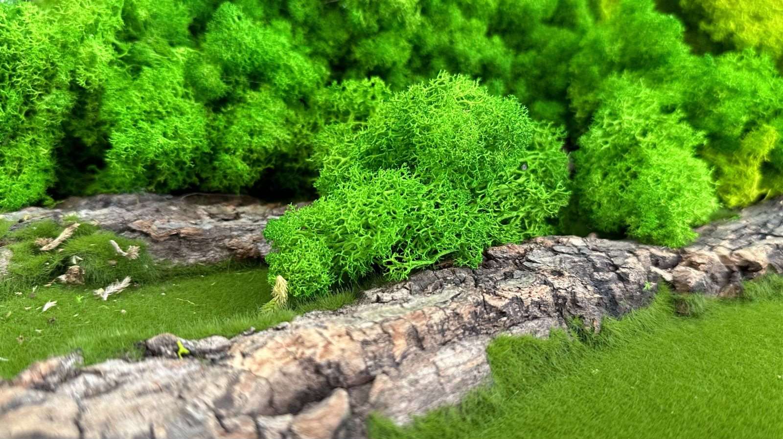 Succulent Moss Desktop Rectangular Bonsai - Faux Succulent and Moss ArEmbrace the timeless charm of our "Modern Nature" arrangement, a harmonious blend of faux succulents and preserved moss, elegantly housed in a unique square-shaped c