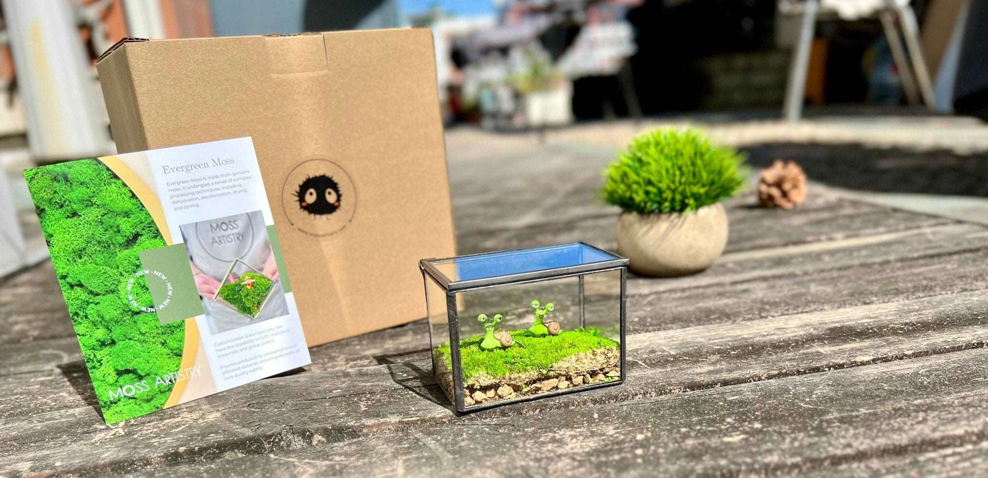 Smile Snail Desktop Decoration Micro Landscape Lawn Handmade Preserved Moss Art