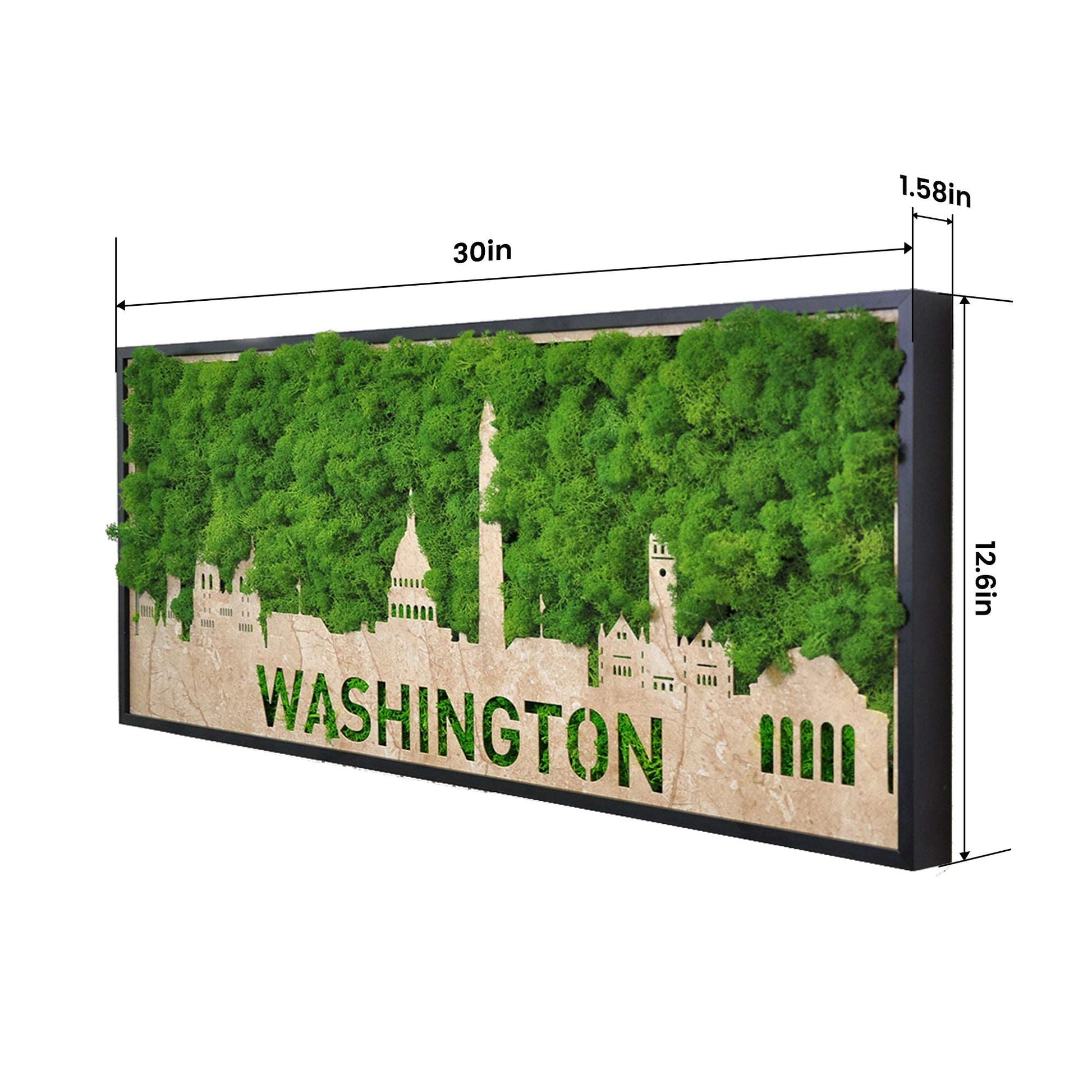Washington City Silhouette Moss Wall Art Iron Hanging Frame
