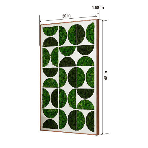 Luxury Home Interior Design Geometric Preserved Moss Wall Art with Wrought Iron Frame - Moss Artistry