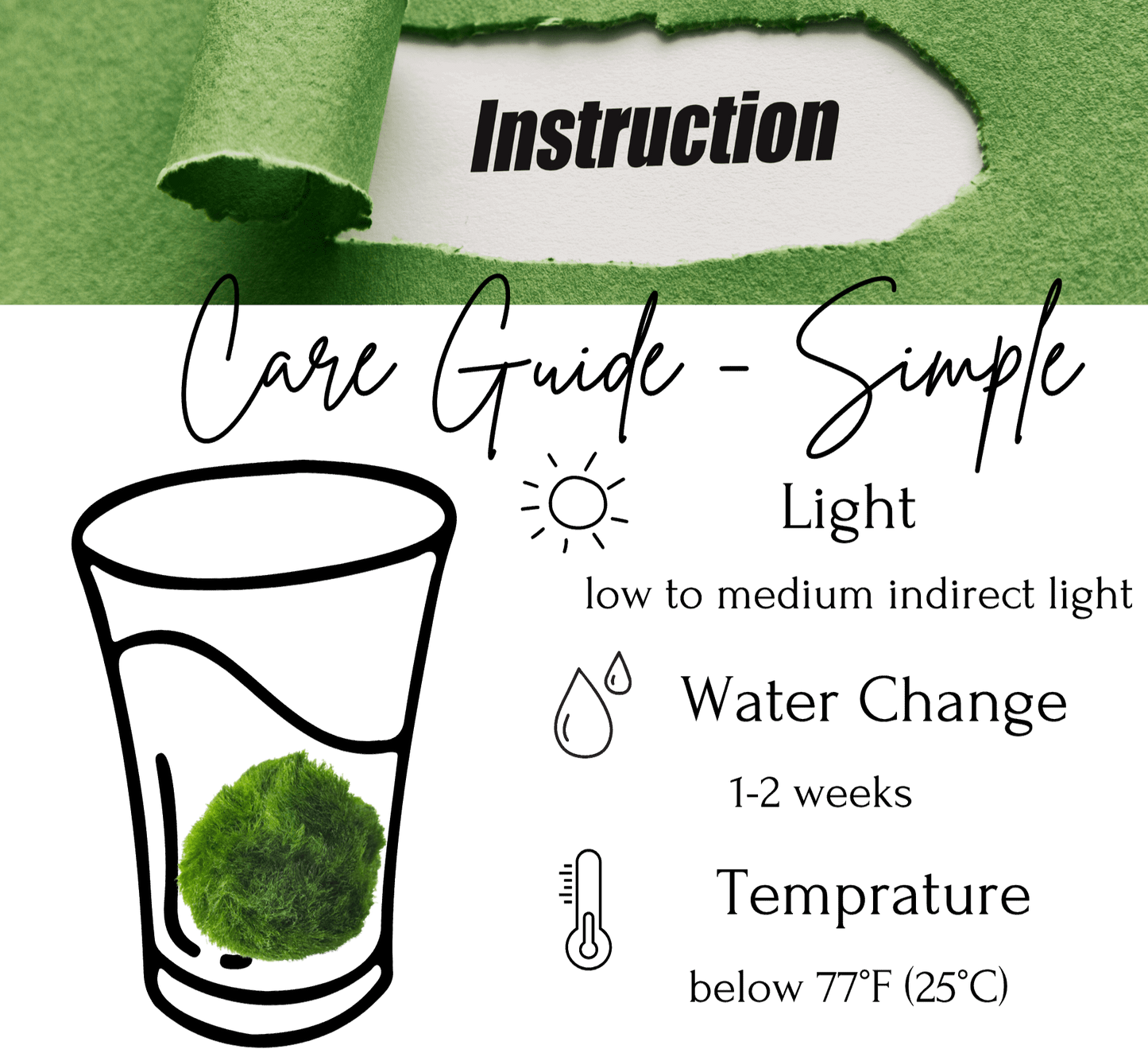 Large Marimo Moss Ball 1 pc 4-5cm LIVE Marimo Moss Ball Pet - JapaneseLive not Plastic
4-5 yrs 4-5cm LIVE Marimo Moss Ball Pet
~ 5cm
100% Real and Live Guaranteed - Moss Artistry
Moss Ball can survive in shadows, however, some sunshine