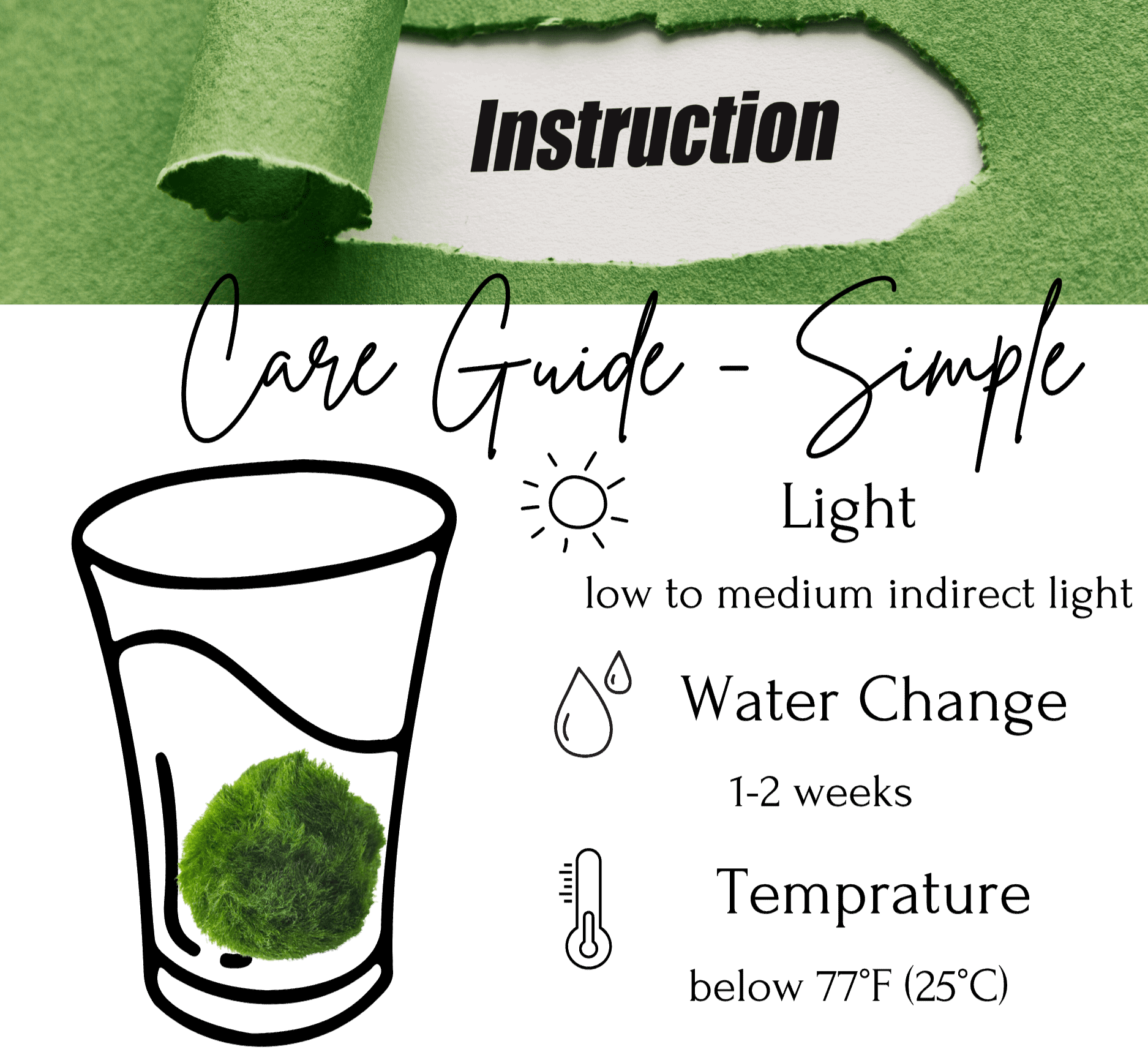 Large Marimo Moss Ball 1 pc 4-5cm LIVE Marimo Moss Ball Pet - JapaneseLive not Plastic
4-5 yrs 4-5cm LIVE Marimo Moss Ball Pet
~ 5cm
100% Real and Live Guaranteed - Moss Artistry
Moss Ball can survive in shadows, however, some sunshine