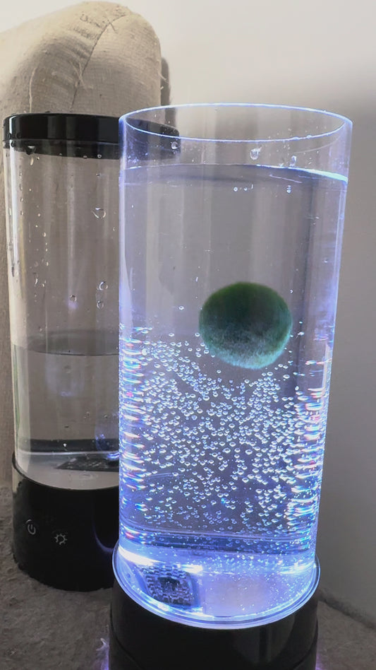 Marimo Tumbler With 1PC Large Marimo Marimo Bubble LED Aquarium Kit – Ambient Desk Light + Live Moss Ball