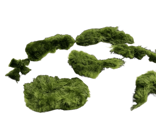 Unshaped Moss Ball Pieces - a bunch